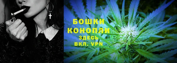 СК Ельня