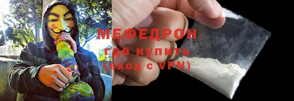 СК Ельня