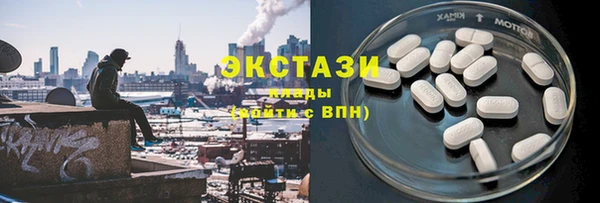 СК Ельня