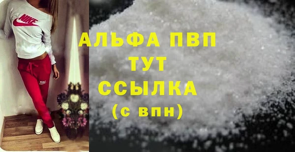 СК Ельня