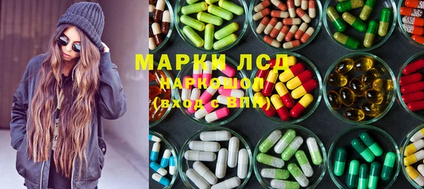 СК Ельня