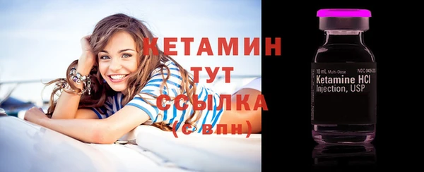 СК Ельня