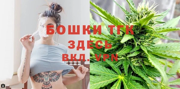 СК Ельня
