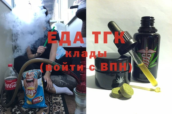 СК Ельня