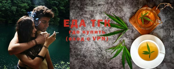 СК Ельня