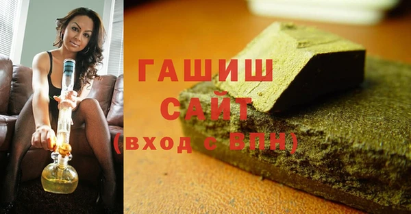 СК Ельня
