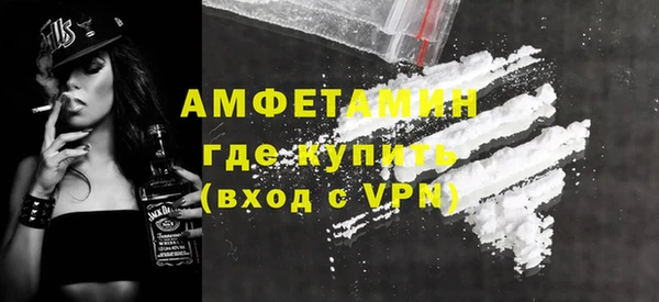 СК Ельня