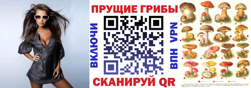 блэк спрут ТОР  Теберда  Галлюциногенные грибы мухоморы 